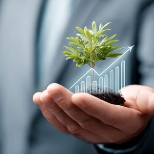Introducción a la Cultura Empresarial Sostenible